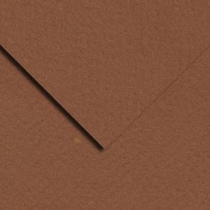 Bee Paper Pastel Paper 19" x 25" - (1 Sheet) Brown