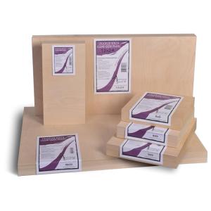 American Easel Cradled Birch Panel Board - Clear Gesso , 16" x 20"