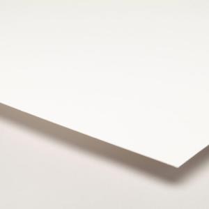 Crescent All-Purpose Illustration Board Cold Press 20" x 30" (Medium Weight)