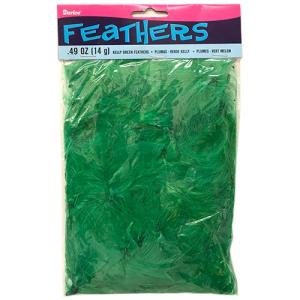 Darice Craft Fluffy Feathers - (.49oz/14g) Kelly Green
