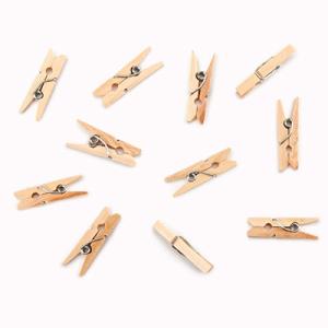 Darice Mini Craft Clothespins (50 count)
