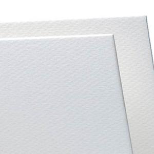 Canson Mi-Teintes Art Board 16" x 20" - White