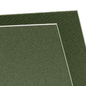 Canson Mi-Teintes Art Board 16" x 20" - Ivy