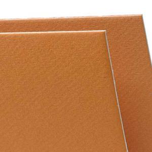 Canson Mi-Teintes Art Board 16" x 20" - Bisque