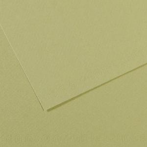 Canson Mi-Teintes Art Board 16" x 20" - Light Green