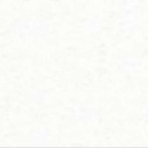 Canson Pure White Drawing Board Ex-Fine Texture 16x20