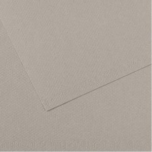 Canson Mi-Teintes Drawing Paper 19" x 25" - Flannel Gray 122
