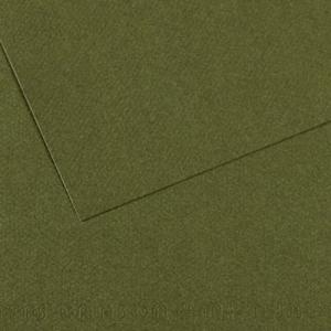 Canson Mi-Teintes Drawing Paper 19" x 25" - Ivy 448
