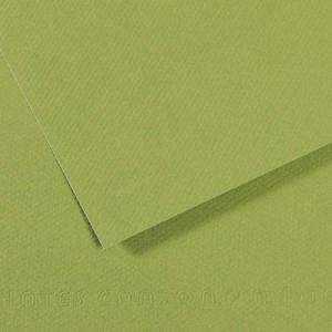 Canson Mi-Teintes Drawing Paper 19" x 25" - Green 475
