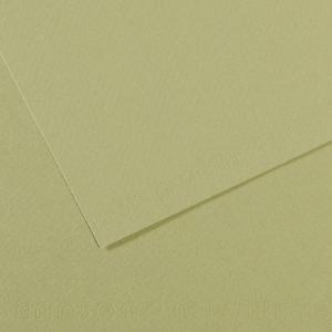 Canson Mi-Teintes Drawing Paper 19" x 25" - Light Green 480