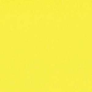 Canson Colorline Paper 19" x 25" - Canary