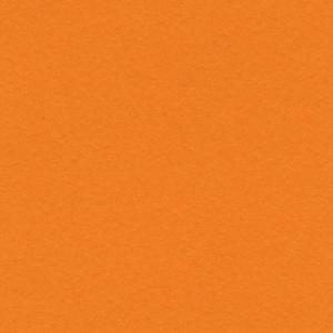 Canson Colorline Paper 19" x 25" - Clementine