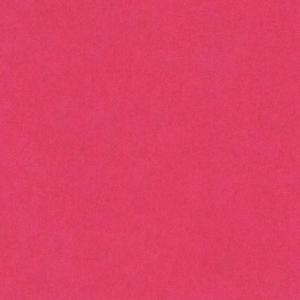 Canson Colorline Paper 19" x 25" - Fuchsia