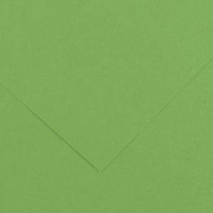 Canson Colorline Paper 19" x 25" - Bright Green 29