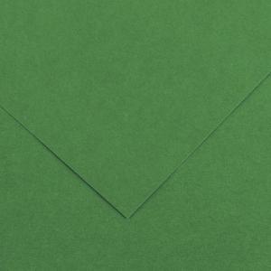 Canson Colorline Paper 19" x 25" - Moss Green 30