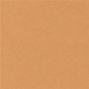 Canson Colorline Paper 19" x 25" - Leather (Wheat)