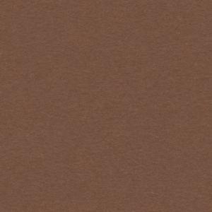 Canson Colorline Paper 19" x 25" - Nut