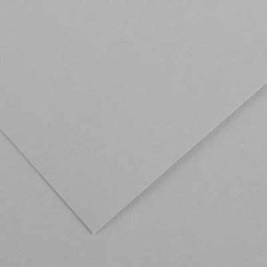 Canson Colorline Paper 19" x 25" - Light Grey (Mouse)
