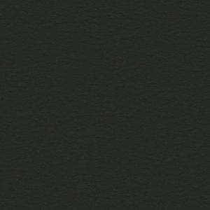 Canson Colorline Paper 19" x 25" - Black (Ebony)