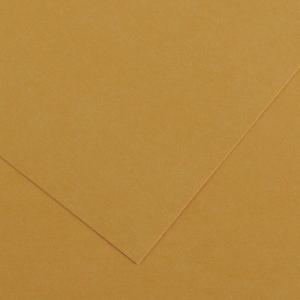 Canson Colorline Paper 19" x 25" - Heavyweight Leather 300g