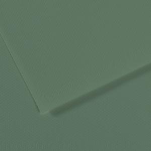 Canson Mi-Teintes Drawing Paper 19" x 25" - Sage Green 190