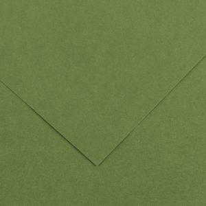 Canson Colorline Paper 19" x 25" - Khaki Green 89
