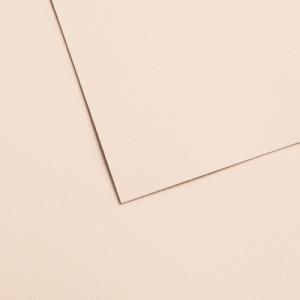 Canson Mi-Teintes Velvet Sheets 19.69" x 25.6" - Powder Beige