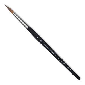 Princeton Aqua Elite Brush for Watercolors - Long Round #8