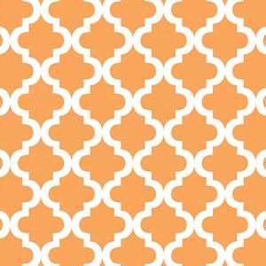 Pacon Ella Bella Photography Backdrop Paper Roll 48" x 12' - Mediterranean Peach