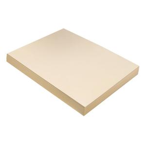 Pacon Tagboard 9" x 12"- (100 Sheets) Manila