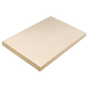 Pacon Tagboard 12" x 18" - (100 Sheets) Manila