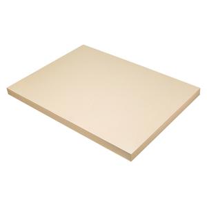 Pacon Tagboard 18" x 24" - (100 Sheets) Manila