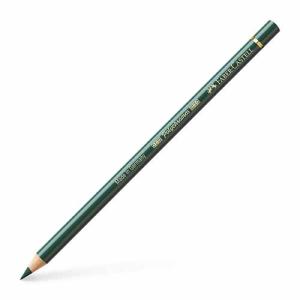 Polychromos Colored Pencil- Juniper Green (165)