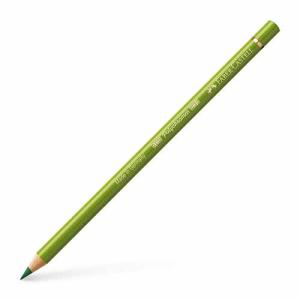 Polychromos Colored Pencil- Earth Green Yellowish (168)