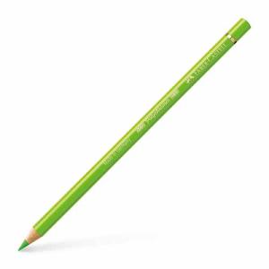 Polychromos Colored Pencil- Light Green (171)