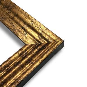 Series 2 Dark Marble Gold Frame  16" x 20"