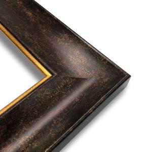 Series 144-77-Dark Bronze Frame with Gold Lip  16" x 20"