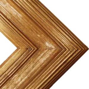 Series 505G Gold Frame - 20" x 24"