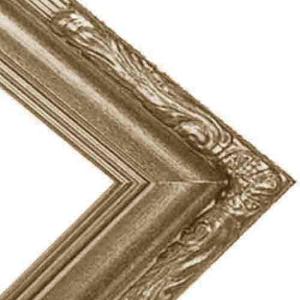 Series 608S Silver Ornate Frame - 8" x 10"