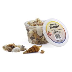 Hygloss Sea Shells 16oz - Natural