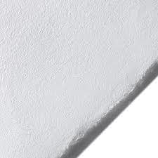 Legion Hosho Printmaking Paper 16" x 20" - (1 sheet, 64lb) Student Grade