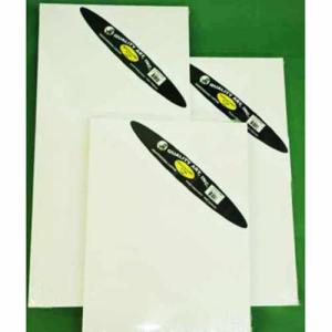 Professional Stretched Landscape Canvas 9" x 12"