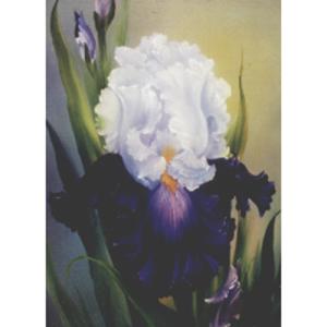 Bob Ross How-To Painting Packet Florals - Iris
