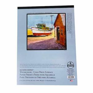 Bee Aquabee Watercolor Pad 11" x 15" - (15 Sheets, 140lb) Cold Press Surface  BEE1136T15-1115
