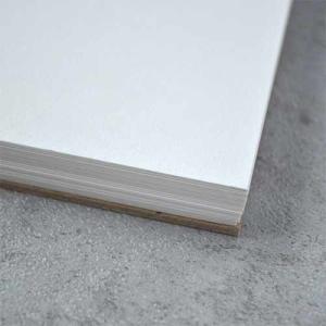 Big Yellow Bee CO-MO Drawing Journal- 6x9 (50shts)
