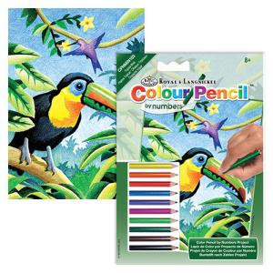 Colored Pencil By Number Mini Art Kit- Tropical Birds