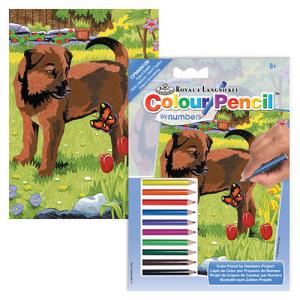 Colored Pencil By Number Mini Art Kit- Puppy & Butterfly