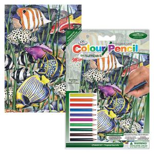 Colored Pencil By Number Mini Art Kit- Tropical Sea Life