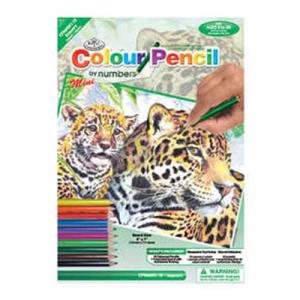 Colored Pencil By Number Mini Art Kit- Jaguars