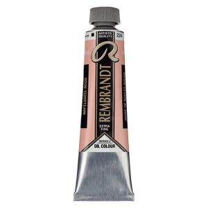 Royal Talens Rembrandt Oil Colour - (1.4oz/40ml) Naples Yellow Red